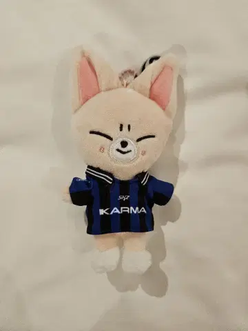 straykids KARMA SKZOO ver 키링 아이엔