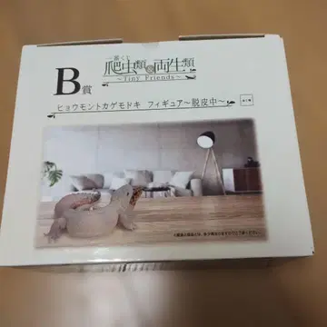제일복권 파충류 & 양서류 레오파드 도마뱀 탈피 중