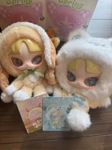 inss 봄의 축전 시리즈