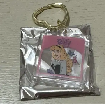 오로라 공주 시크릿 키체인 키링 디즈니 스토어