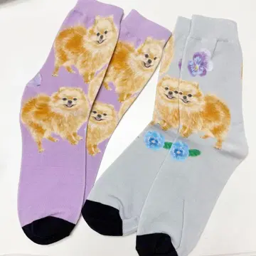 [오리지널] 포메라니안 양말 2족 세트