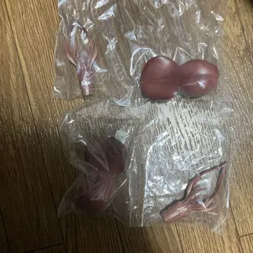 네이처 테크니컬러 심해 생물 대왕 오징어 2개