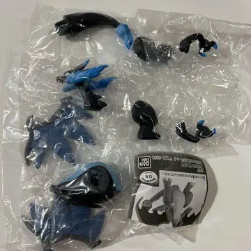 포켓몬스터 메가리자몽x