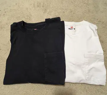 Hanes 헤인즈 BEEFY-T 피 롱T 2장 세트
