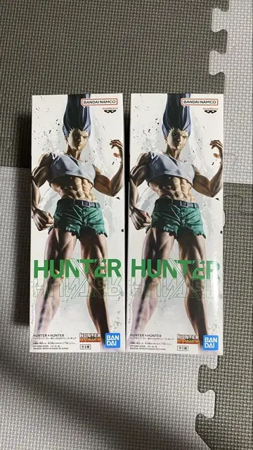 HUNTER HUNTER 곤 피규어 2개 세트
