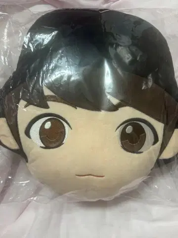 Tinytan 정국 페이스 봉제 인형 2세트