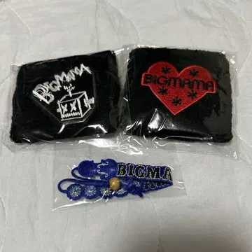 BIGMAMA 리스트 밴드 외