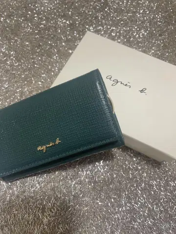agnis b. 그린 키케이스