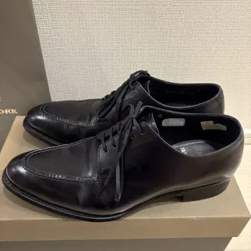 SHETLAND FOX 보트 6, 1/2 (상자, 슈트리 포함)