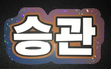 SEVENTEEN 승관 네임보드 한글 로우셀레 컬러