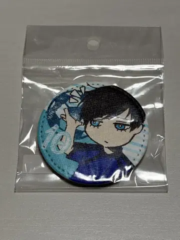 블루 록 가죽 배지 이토시 린