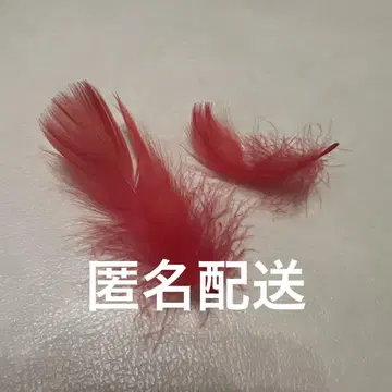 타카하시 쿄헤이 깃털 2개