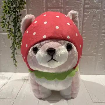 마루타마 콩 시바 삼형제 딸기 봉제 인형