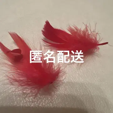타카하시 쿄헤이 낙하물 깃털