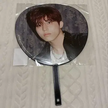 TREASURE LOVE PULSE 정우 부채 팝업