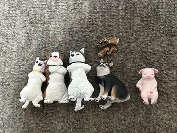 데데엥! 불테리어 허스키 불독 힘내라~누 블랙 시바견 쉬이쉬이 소년 돼지