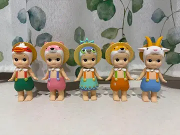 소니엔젤 H 패밀리 시리즈 중국 시크릿