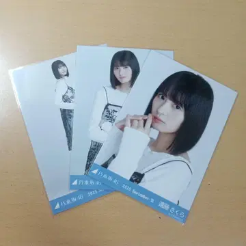 노기자카46 브로마이드 스팽글 엔도 사쿠라 컴프