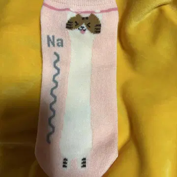 여러 가지