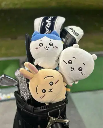 치이카와 (먼작귀) 토끼 하치와레 페어웨이 우드 유틸리티 골프헤드커버