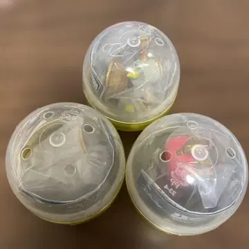 미녀와 야수 로얄 컬렉션