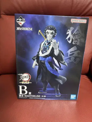 B상 카이가쿠 MASTERLISE