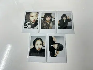 BiS 토기 폴라로이드 모음
