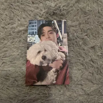 SEVENTEEN FML LOVE 회장 한정판 트레이딩 카드 승철