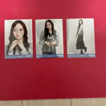 노기자카46 브로마이드 매실 우메자와 미나미 스팽글 컴프