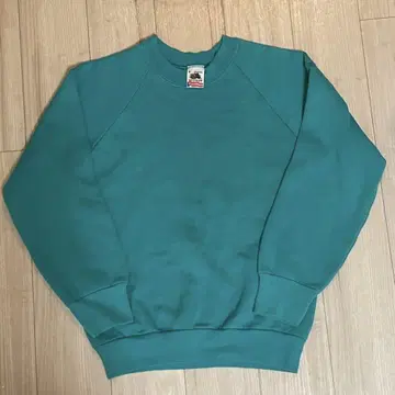 프룻 오브 더 룸 90s USA제 무지 맨투맨 트레이닝복