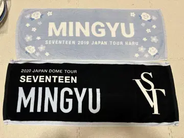 SEVENTEEN MINGYU 투어 타월 2