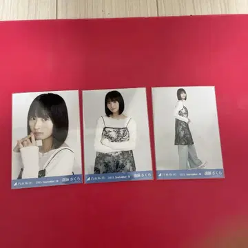 노기자카46 브로마이드 엔도 사쿠라 스팽글 컴프