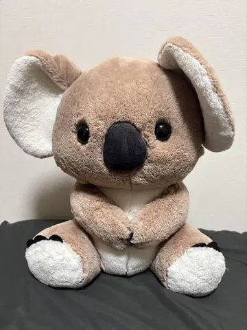 코알라 봉제 인형 빅