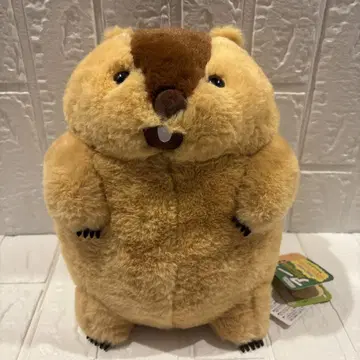마모트의 모토토 봉제 인형 JB 아타로 28cm