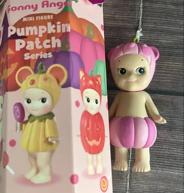 소니 엔젤 호박 패치 pumpkin patch 팬더