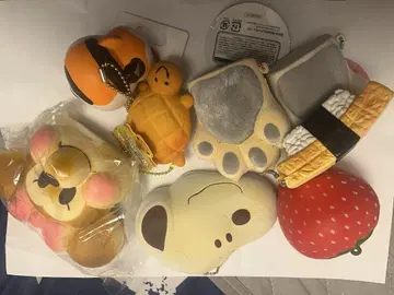스퀴즈 세트