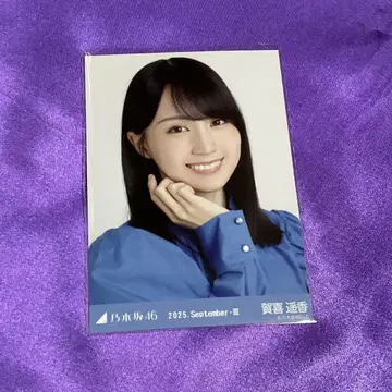 카키 하루카 스팽글 브로마이드 요리