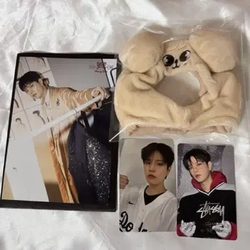straykids 승민 펜라이트 커버