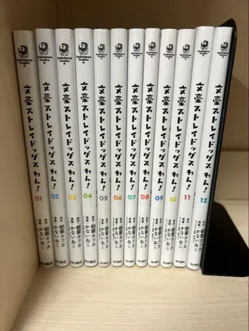 문호 스트레이독스 전 12권 세트