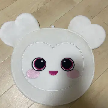 다현 부채 케이스