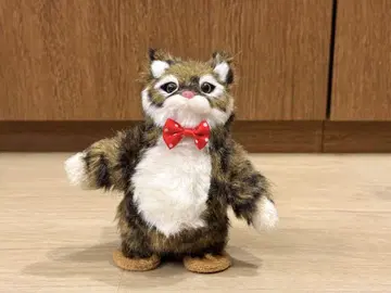 춤추는 댄싱 캣