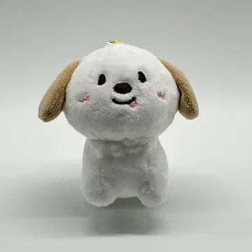 RIIZE 라이즈 앤톤 몽룡이 봉제 인형
