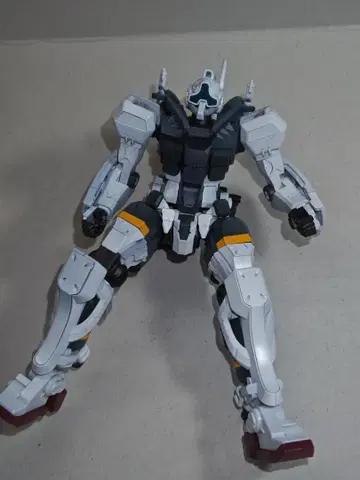 HG 겔구그 (보카타기) 전체 페인팅 완성품