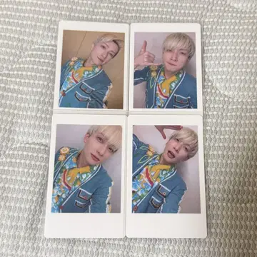 팬더드래곤 요우타 하피카
