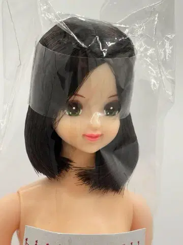 New 제니 리카짱 캐슬 오타노시미 인형 블랙 헤어 계열 제니 프렌드
