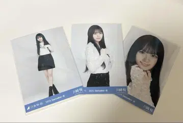 카와사키 사쿠라 스팽글 컴프