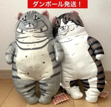 세상에 이런 신기한 고양이 세계 BIG 봉제 인형