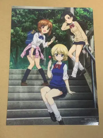 걸즈 앤 판처 걸판 클리어 파일 니시즈미 미호 다즐링 니시누노 시로