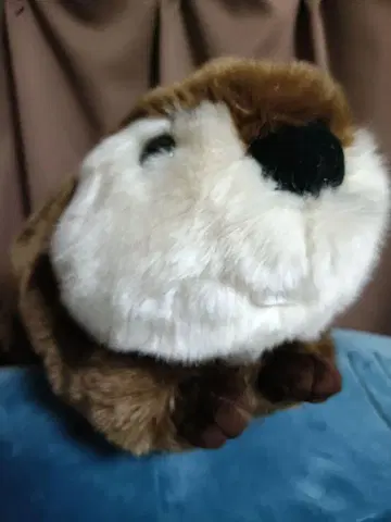 레어 CUTE 비버 봉제 인형 60cm 특대 사이즈 수족관 동물원