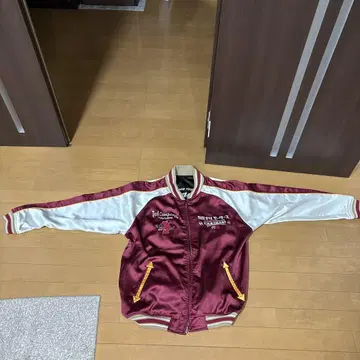 Tedman & 카미나리 모터스 콜라보 스카잔